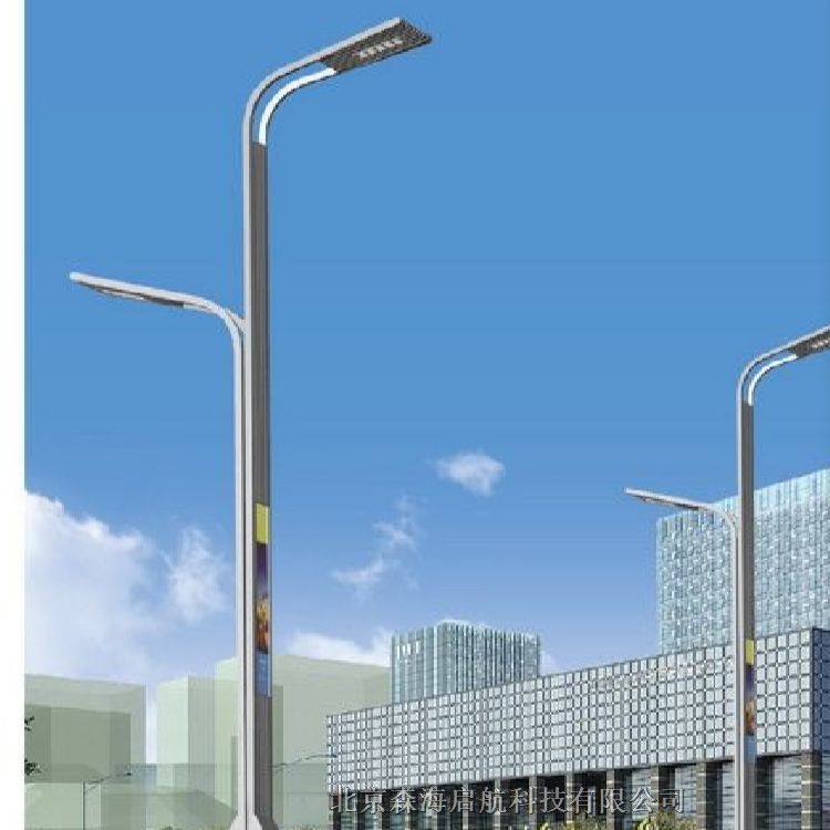 北京照明灯具供应商 接受定制加工 工程路灯安装