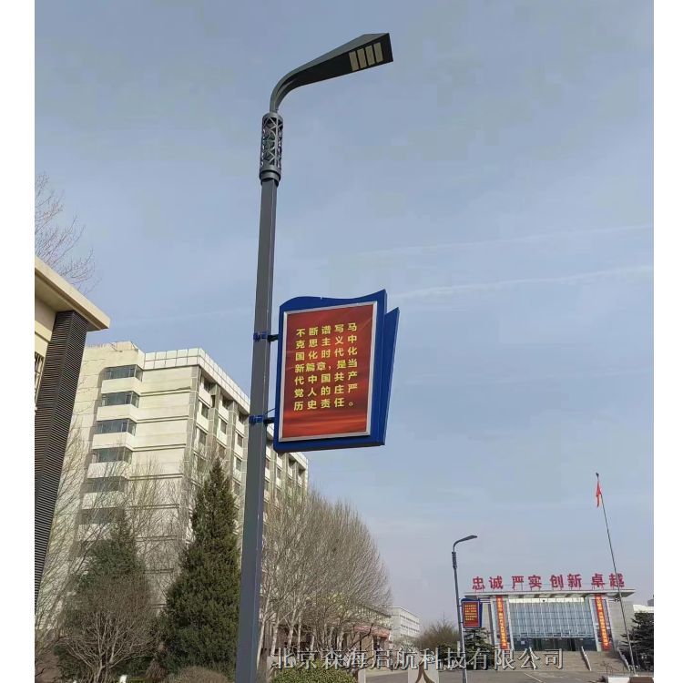 智慧路灯 北京路灯工厂 太阳能路灯