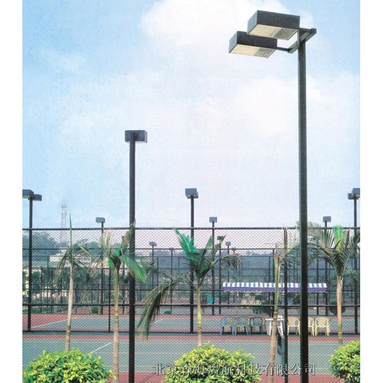 市政路灯工程 北京6-10米LED市电路灯